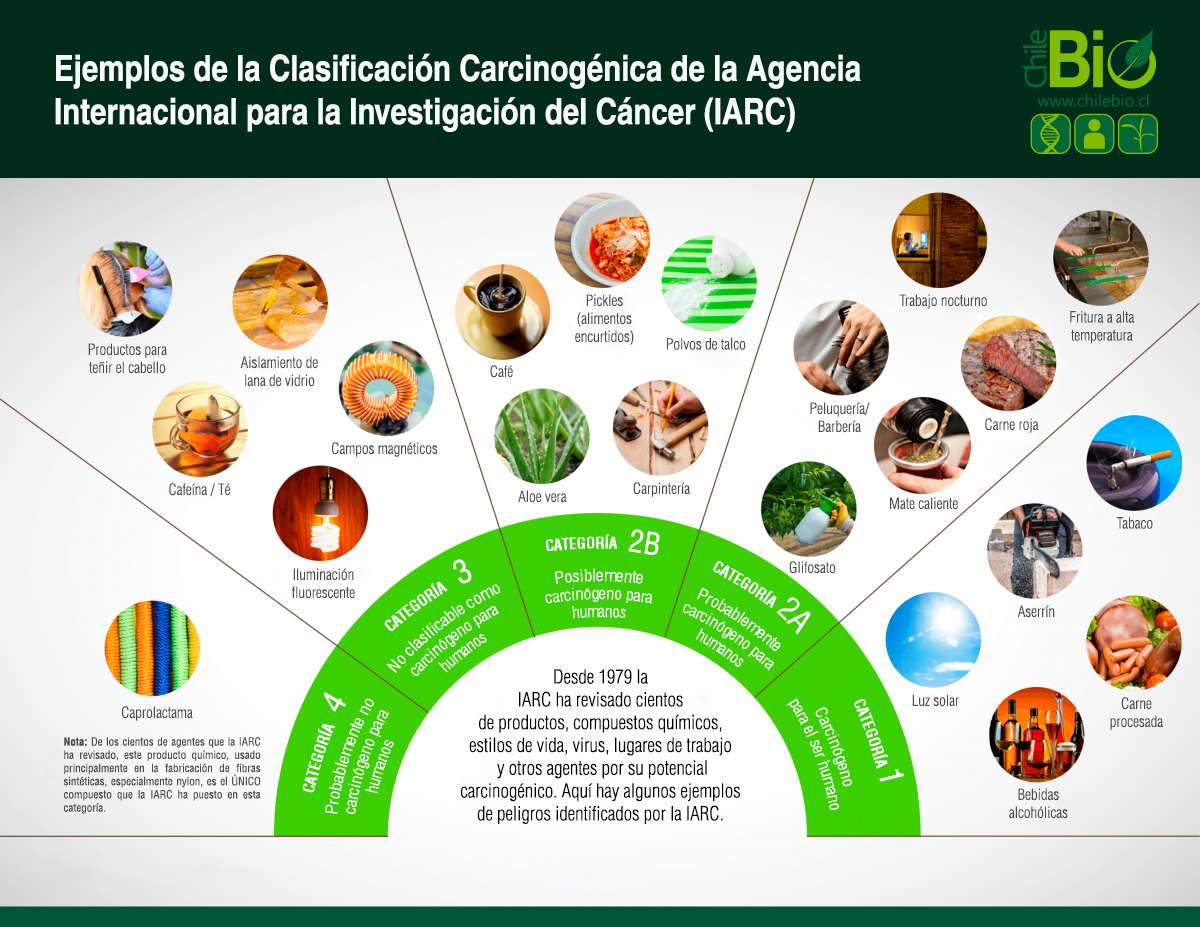 Infografías | ChileBIO Infografías | ChileBIO