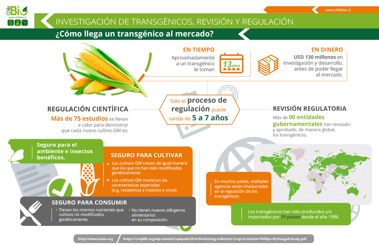 info-chilebio-v2-1.jpg