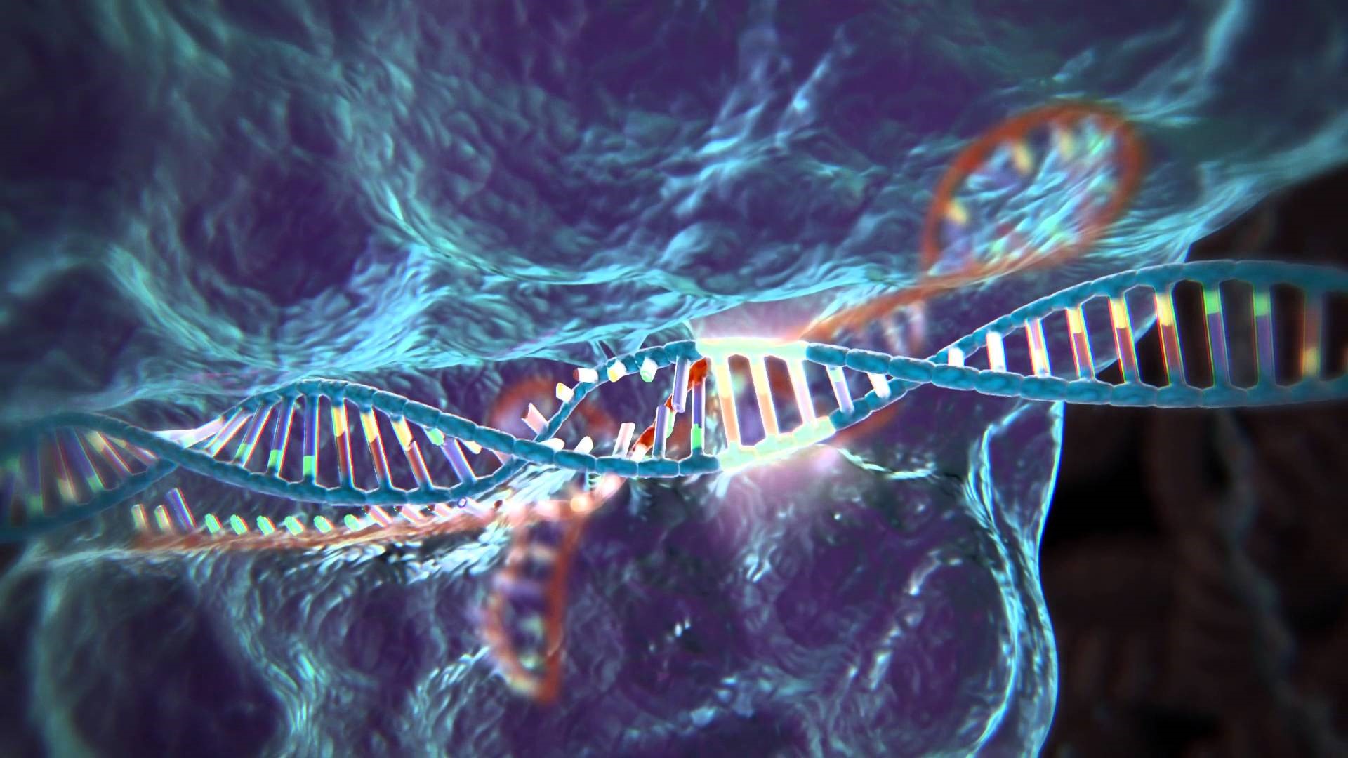 Crispr La Herramienta De Edicion Genetica Que Esta Revolucionando