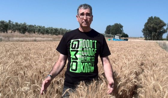 Franciso Barro, Trigo sin gluten