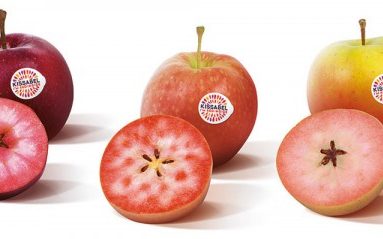 Manzanas