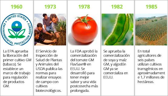 Biotecnologia Tradicional Y Moderna Chilebio