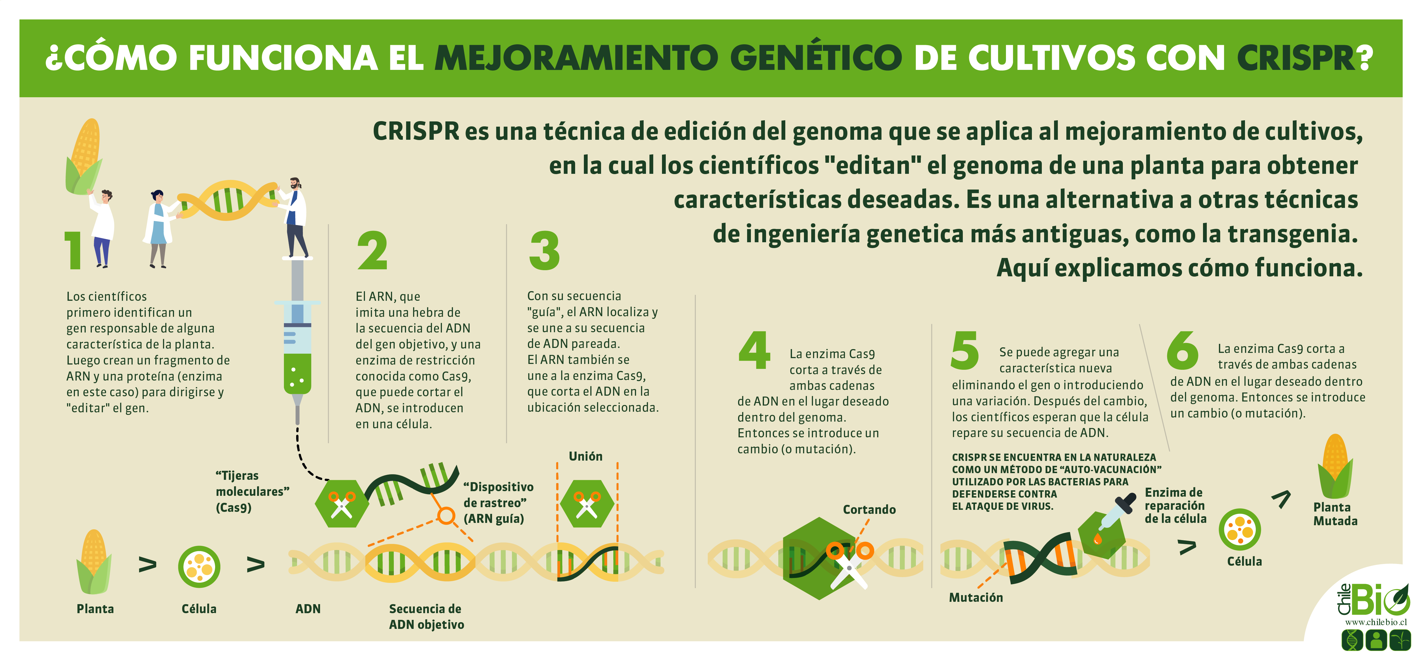 Agroa Por Que La Edicion Genetica Es La Proxima Revolucion