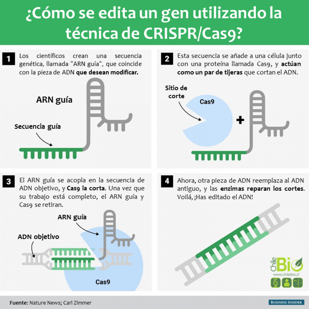 CRISPR – ChileBIO