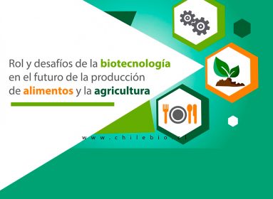 Chilebio
