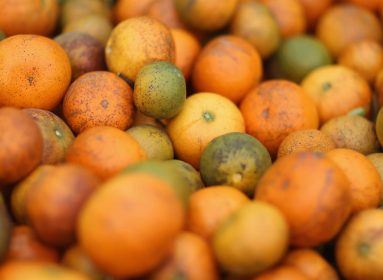 Citricos