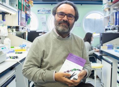 CRISPR