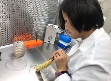 CRISPR