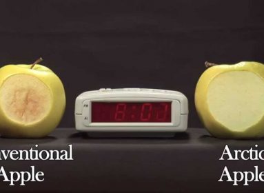 Manzana