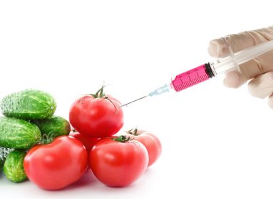 GMO
