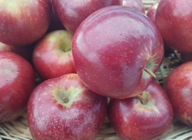 Manzanas