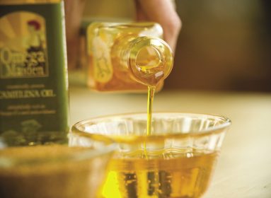 aceite transgénico omega 3