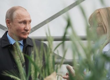 Putin