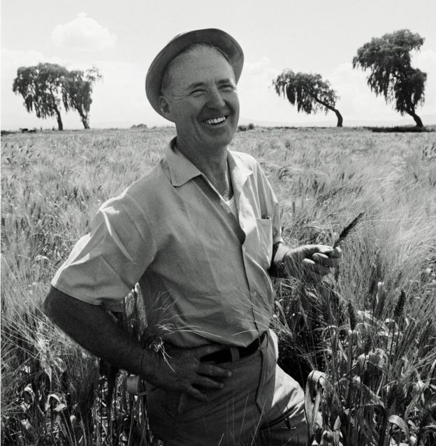 Borlaug