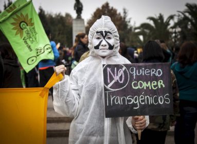 Personas
