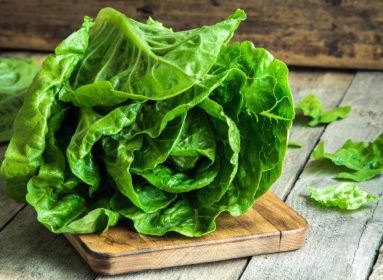 Lechuga
