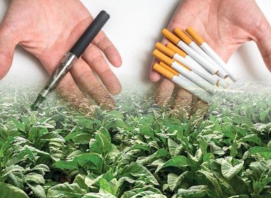Tabaco