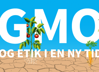 GMO