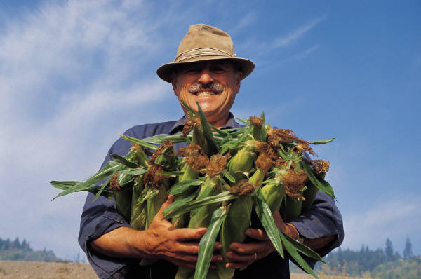 agricultor feliz transgénicos