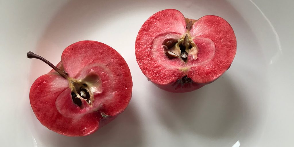 manzana transgénica