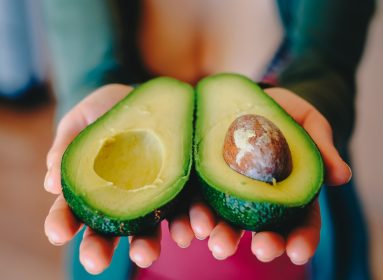 genoma de la palta