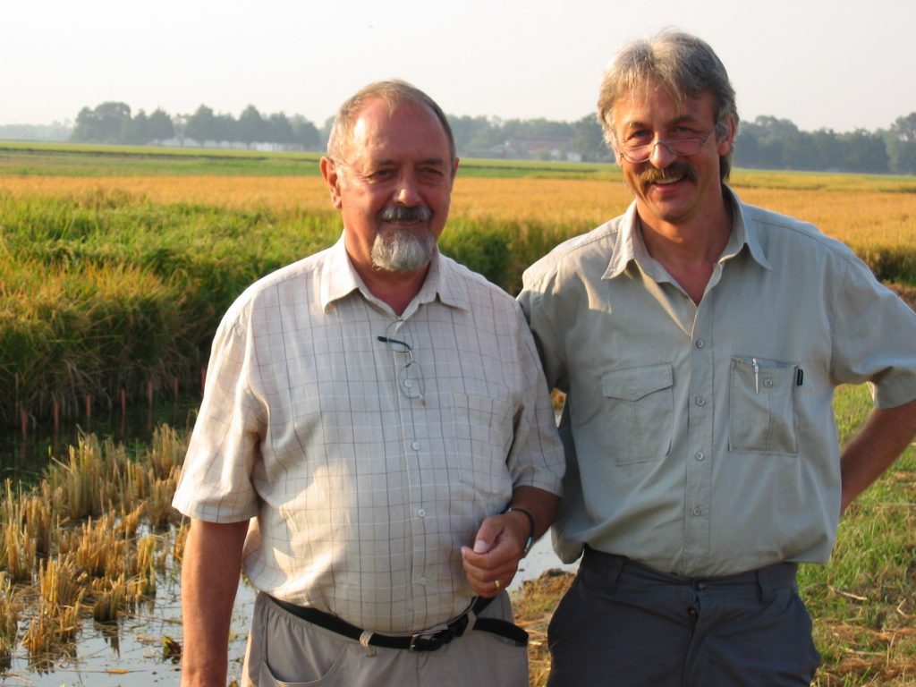 Ingo Potrykus y Peter Beyer arroz dorado