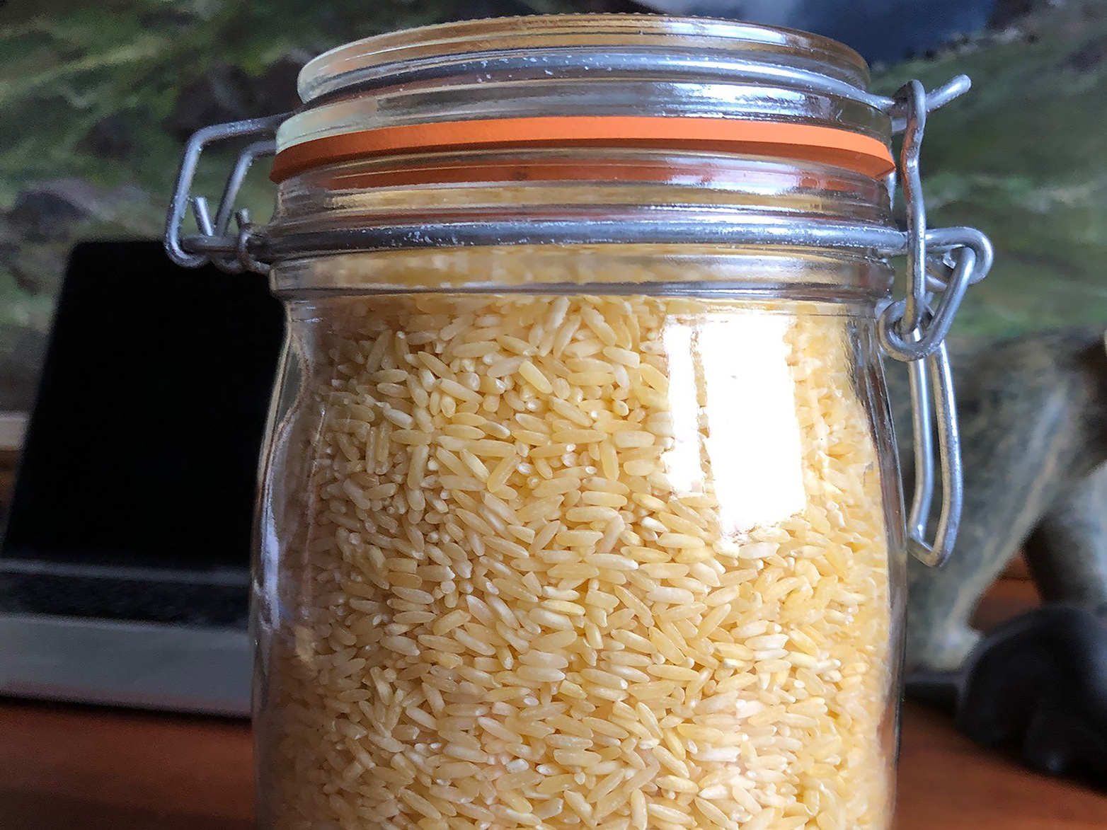 arroz dorado 