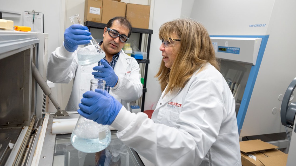 cornell startup Forte Protein