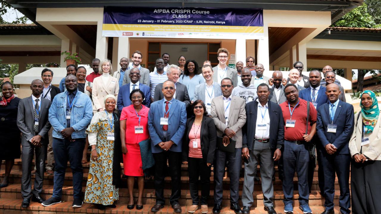 africa CRISPR